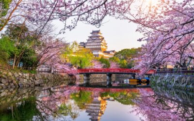 Voyage au pays du Soleil Levant : mes conseils pour profiter du Japon