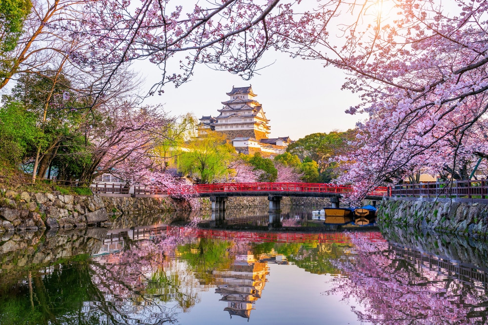 Voyage au pays du Soleil Levant : mes conseils pour profiter du Japon