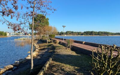 Pourquoi passer vos vacances à Hourtin ? Un paradis entre lac, forêt et océan